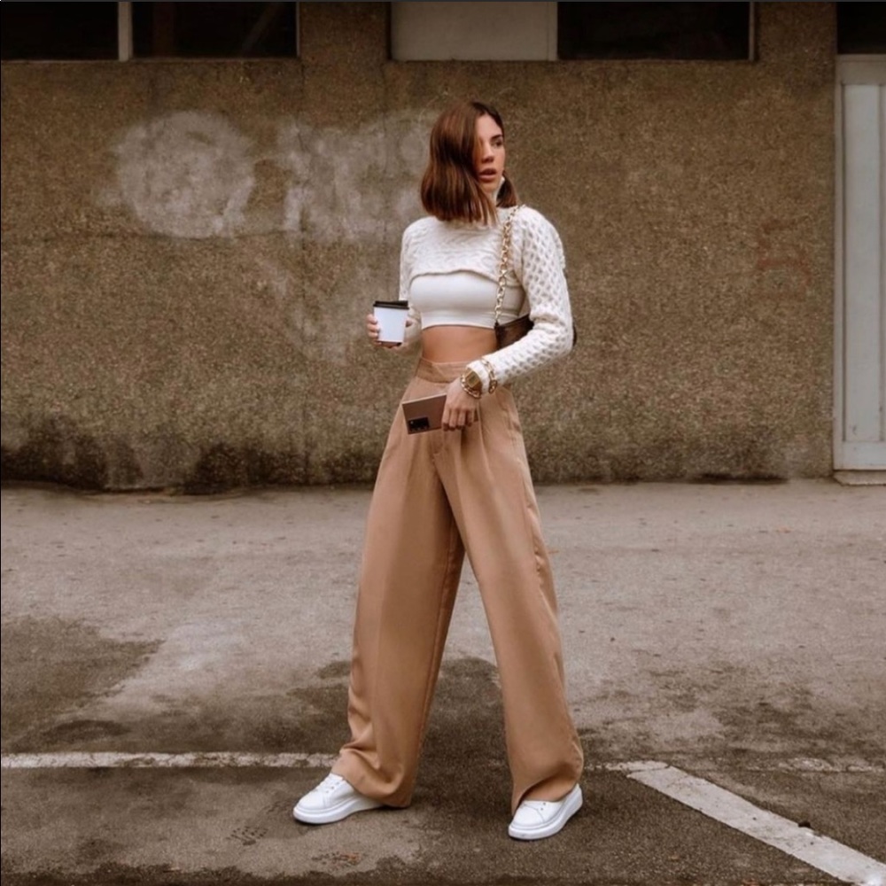 Zara Pleated Wide Leg Pants - Picture 9 of 16